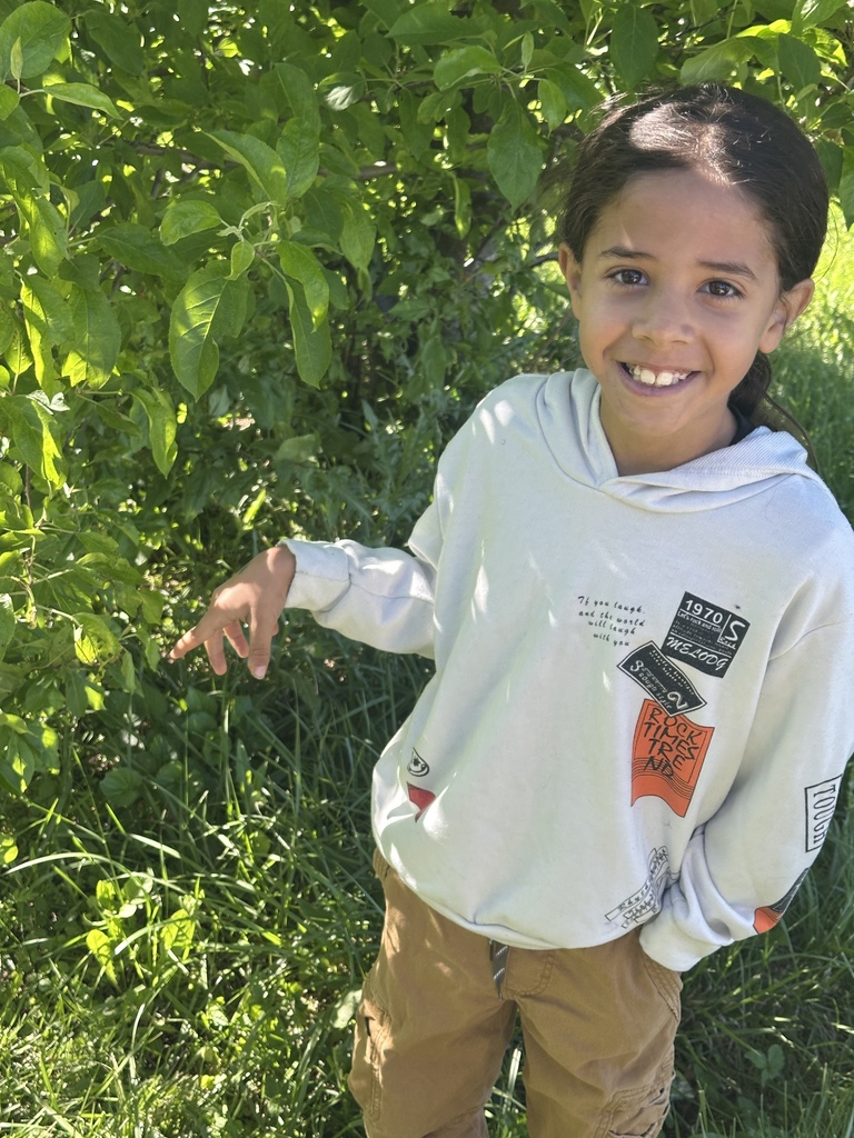 A student looks for signs of butterflies in the outdoor trees and plants.
