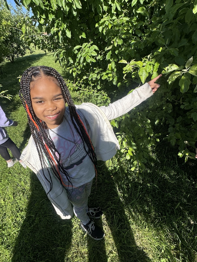 A student looks for signs of butterflies in the outdoor trees and plants.