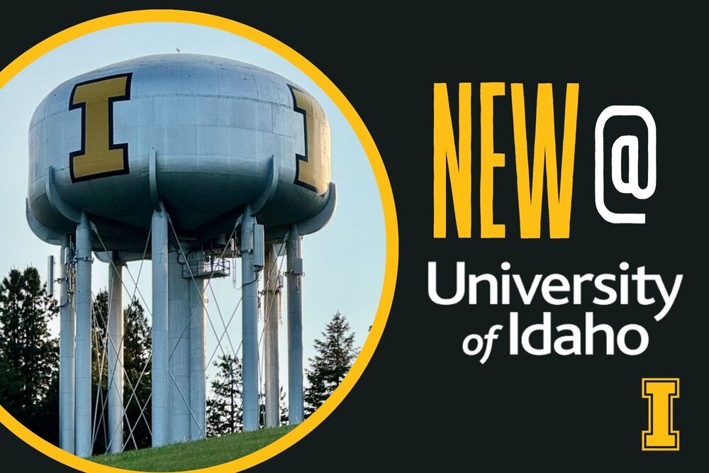 u of i poster