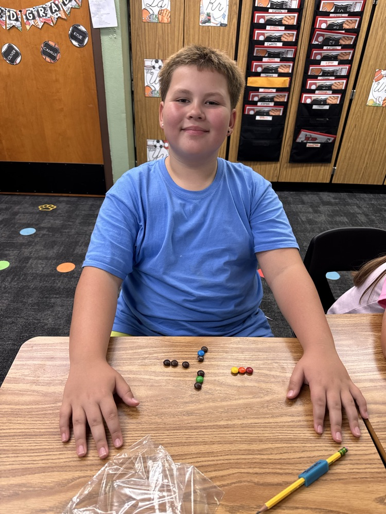 A student posing with their M&M’s arranged in 4 groups of 3.