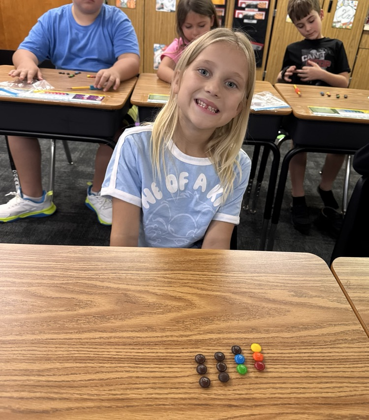 A student posing with their M&M’s arranged in 4 groups of 3.