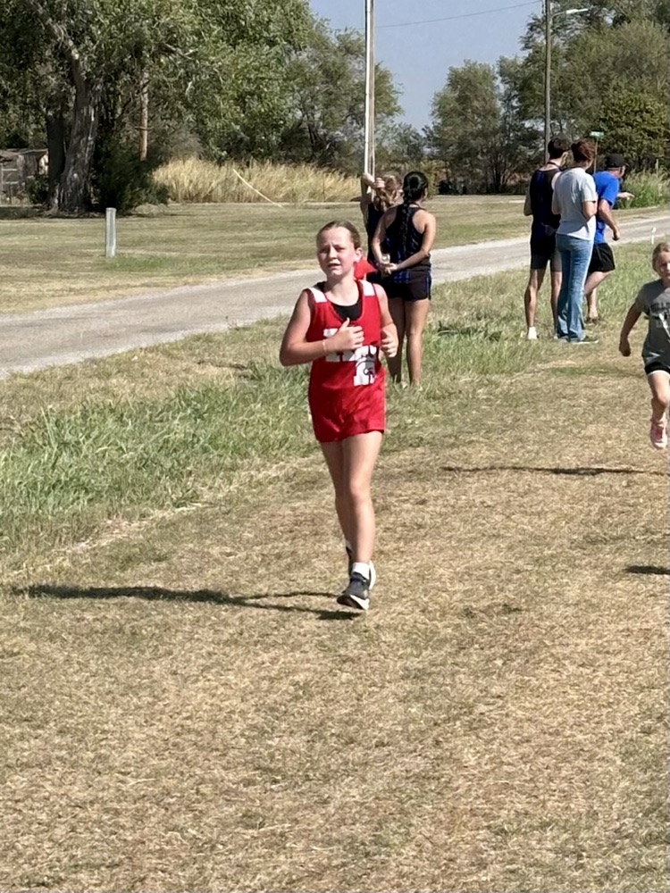 HCS XC