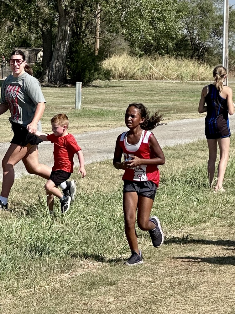 HCs XC