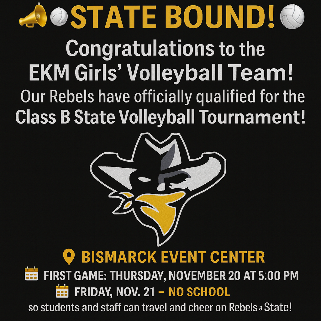State volleyball tournament info