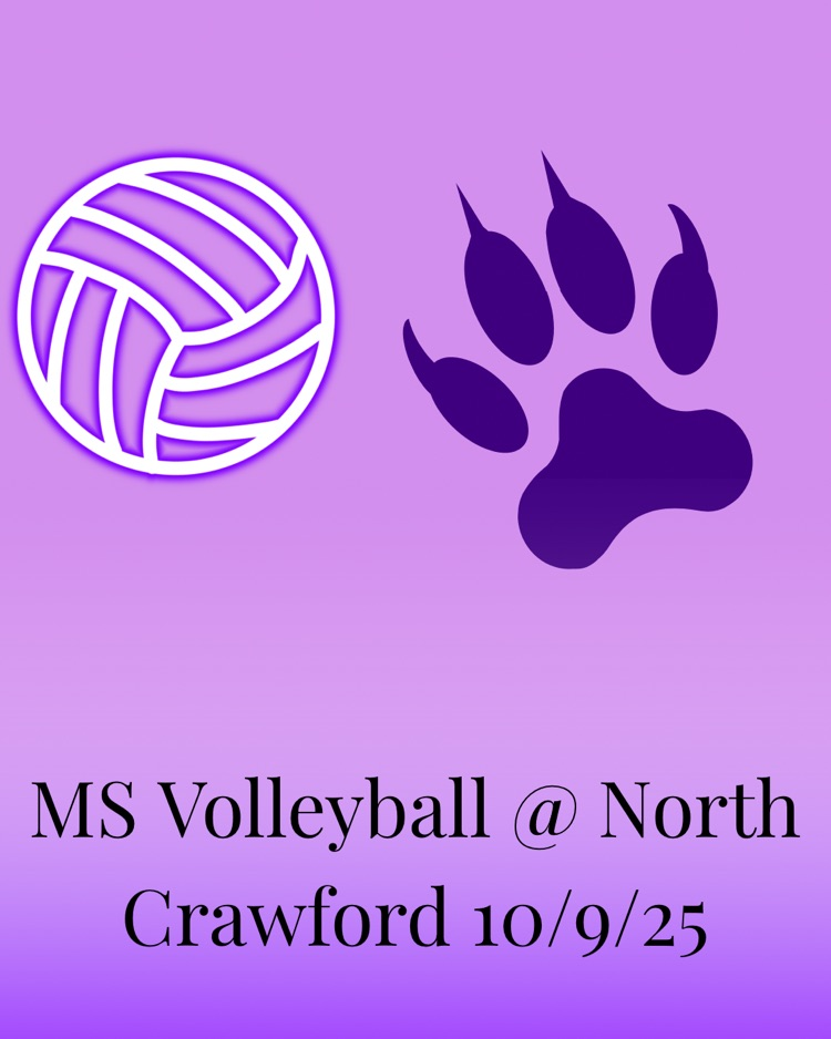 MS VB