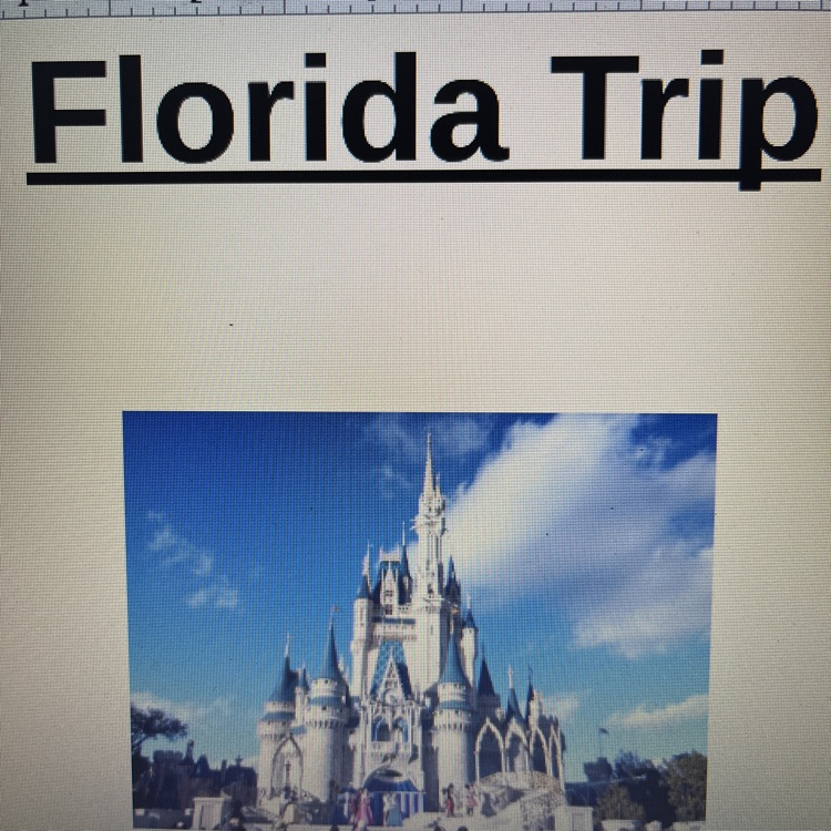 Trip