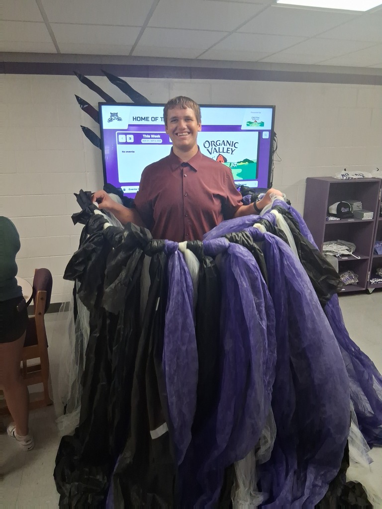 swept up in tulle tornado