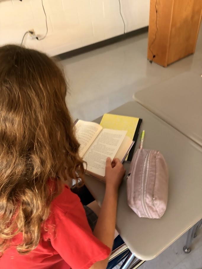 student reading novel