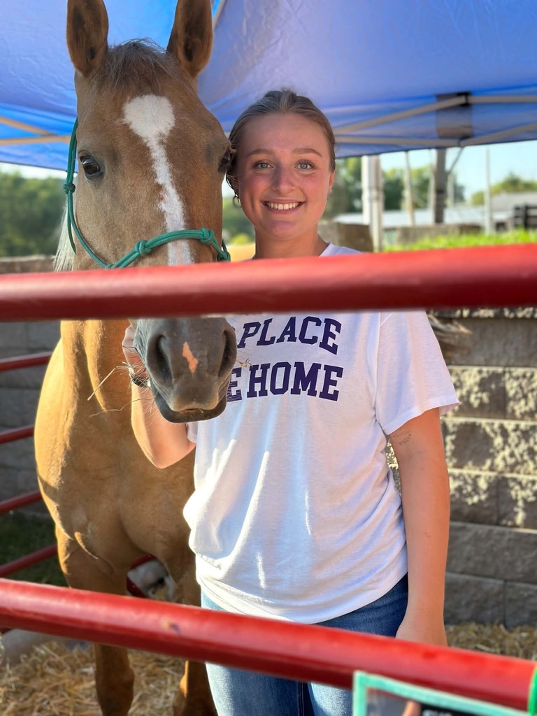 horse
