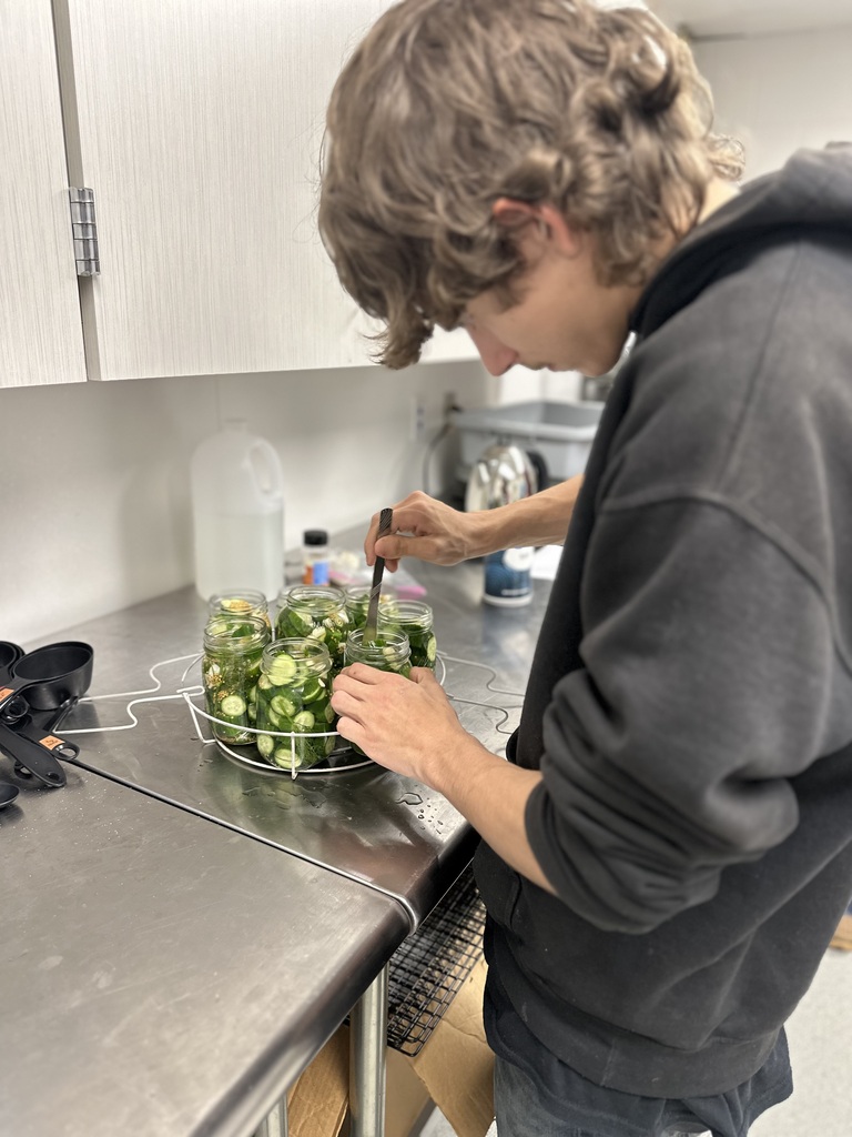 canning pickles