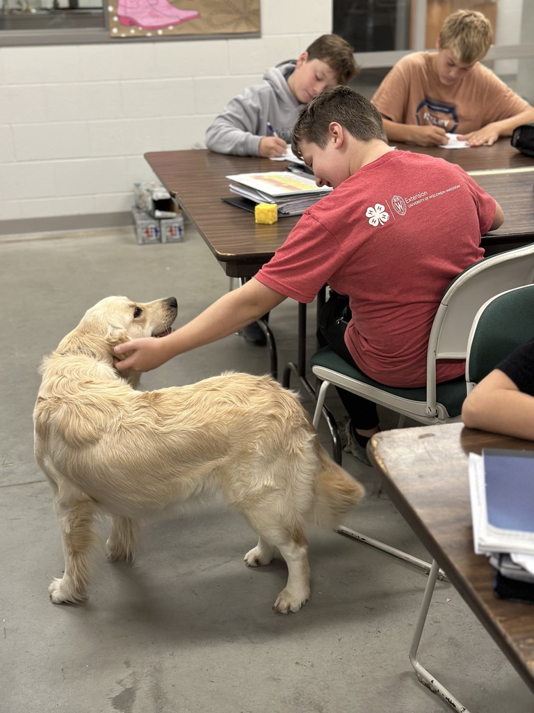 dog visitors