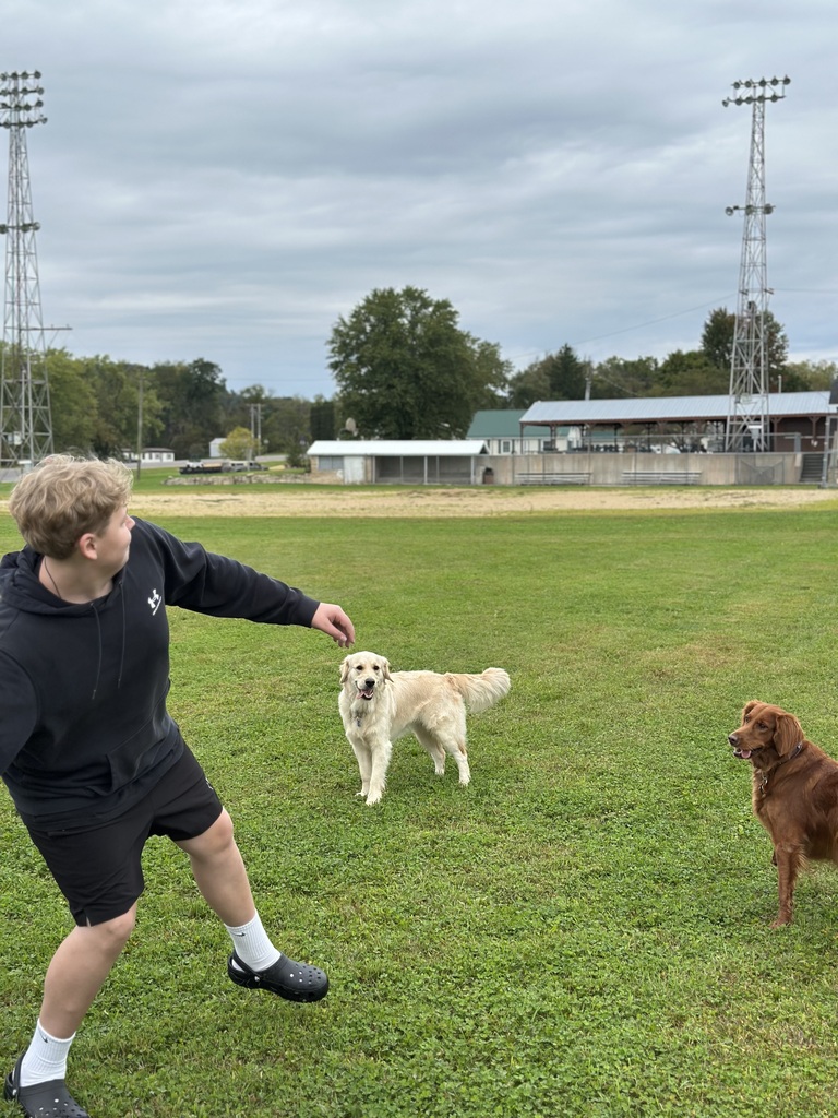 dog visitors