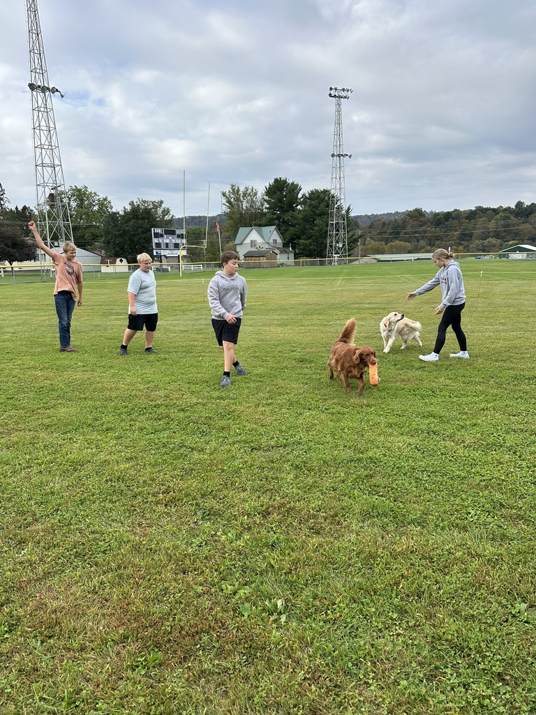 students playing outside with dogs