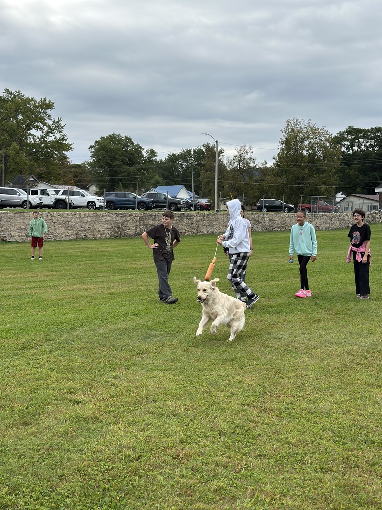 students playing outside with dogs