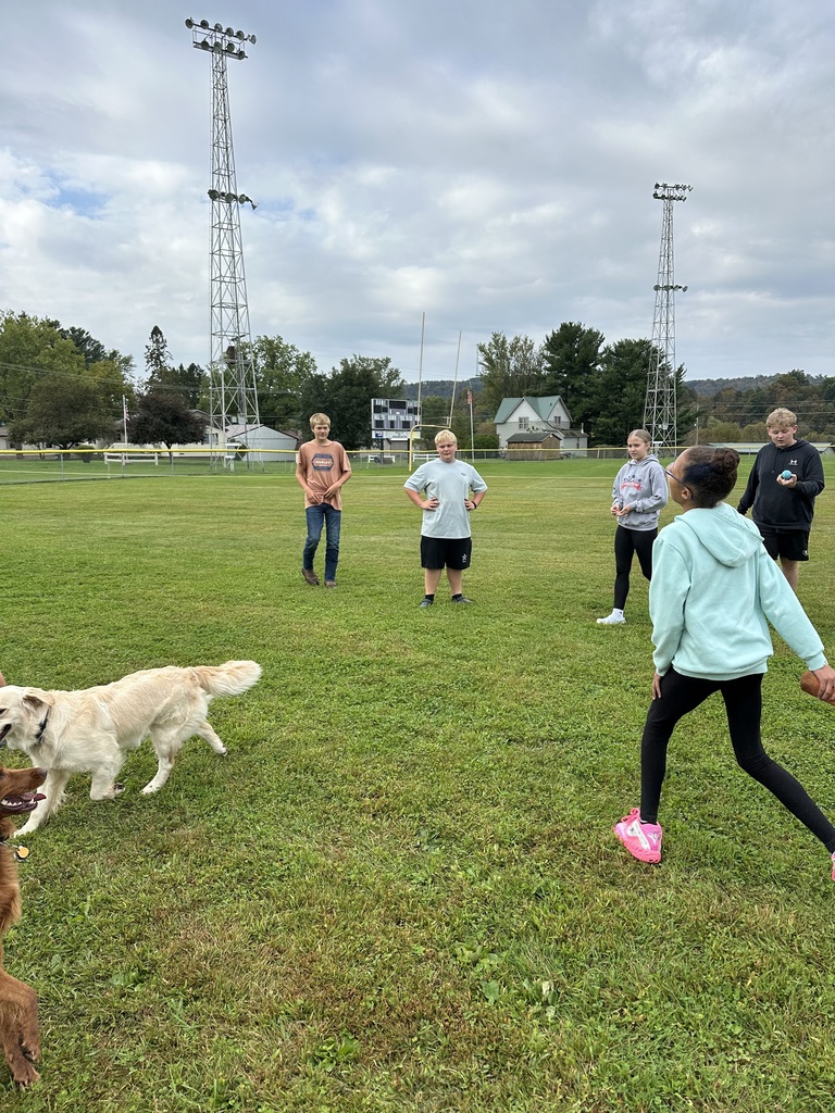 students playing outside with dogs