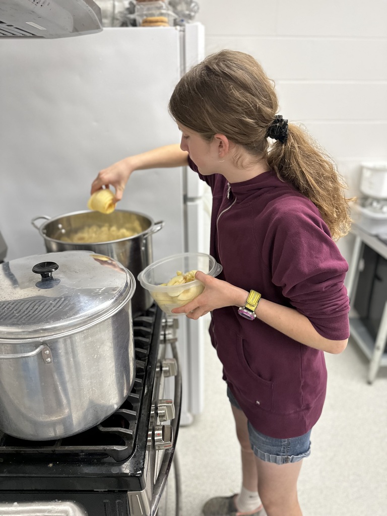 homemade applesauce