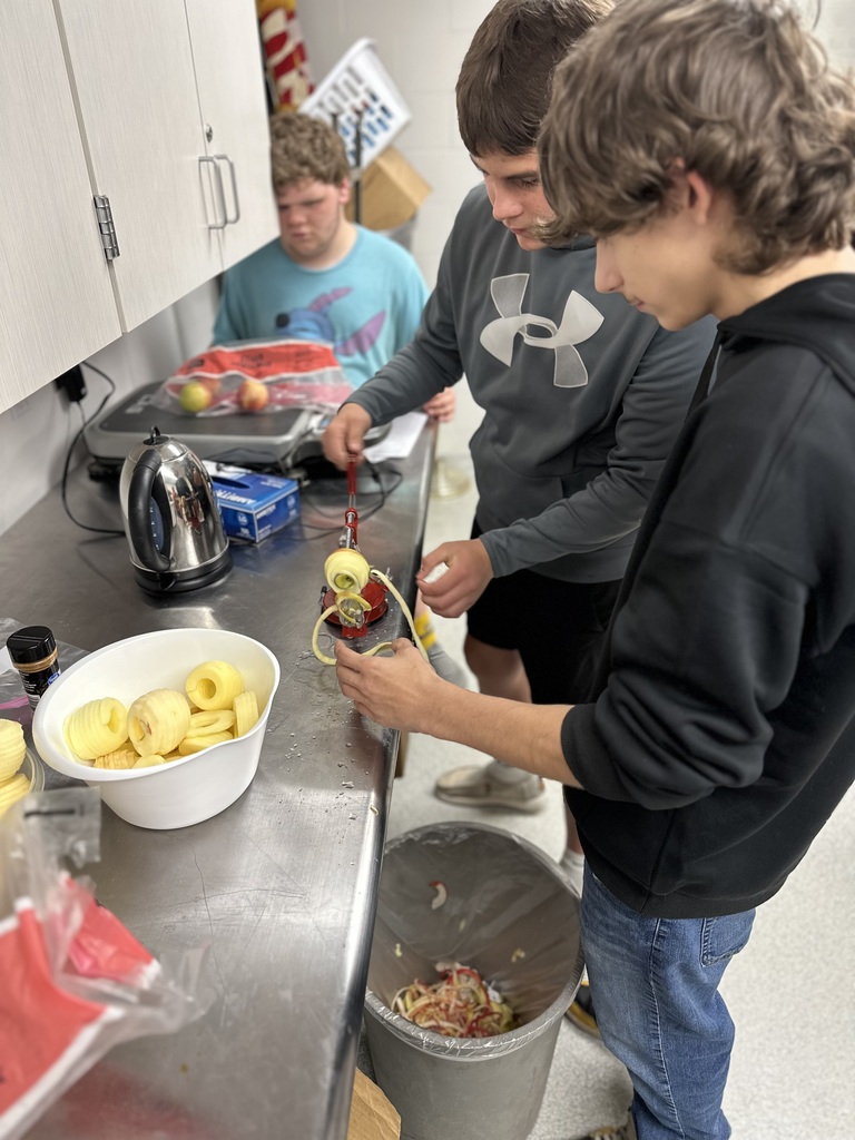 homemade applesauce