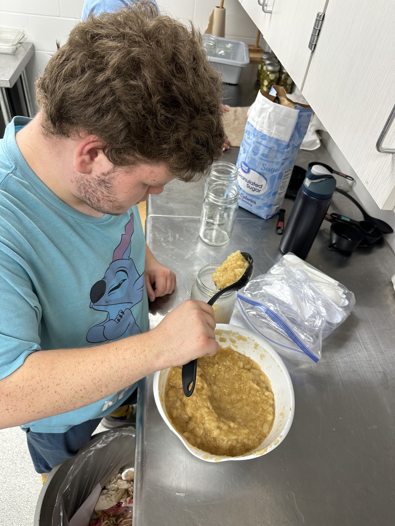 homemade applesauce