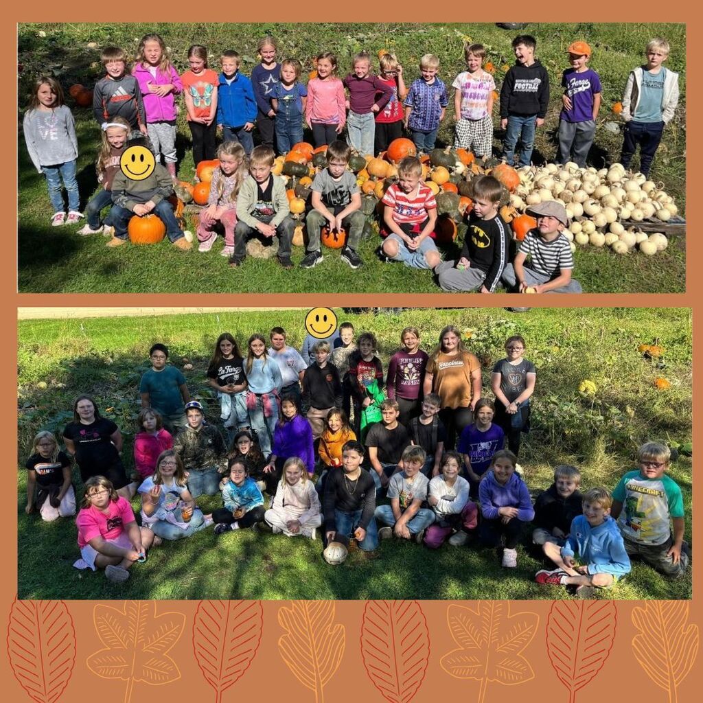 pumpkin patch