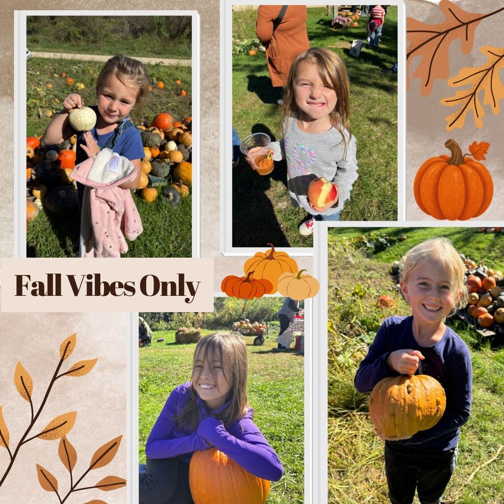 pumpkin patch