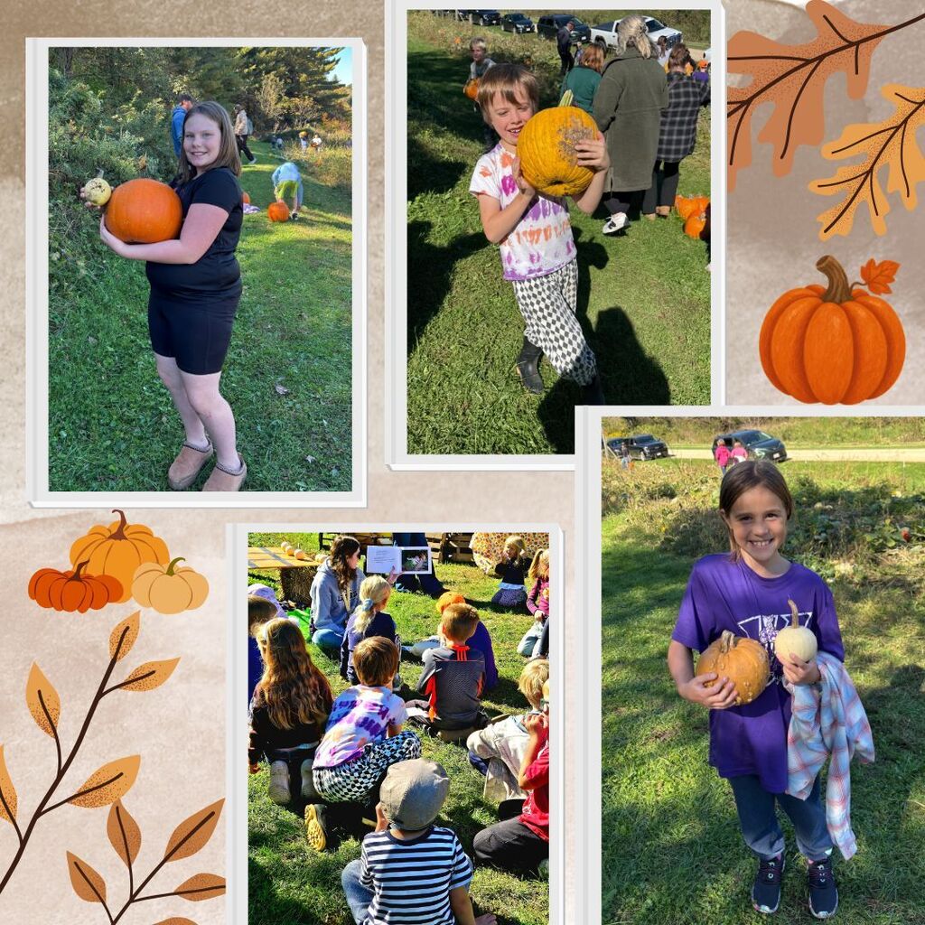 pumpkin patch