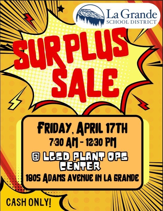 Surplus sale flyer with LGSD logo