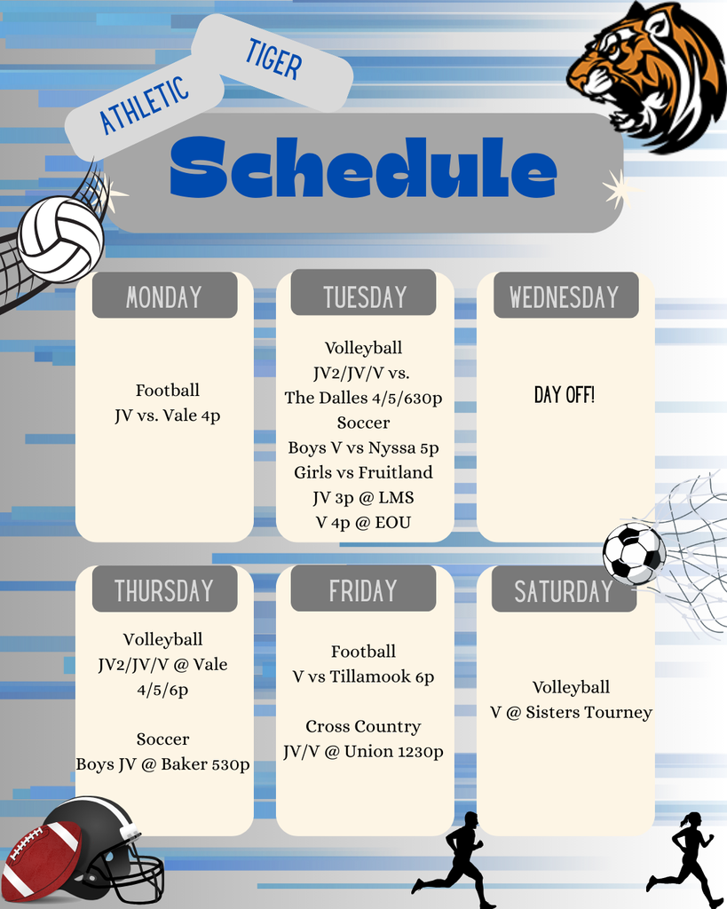Schedule