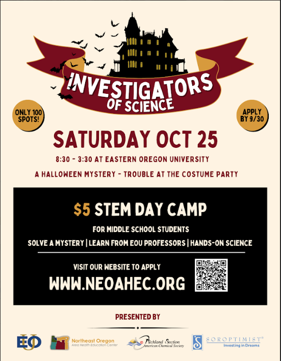 Day Camp Flyer