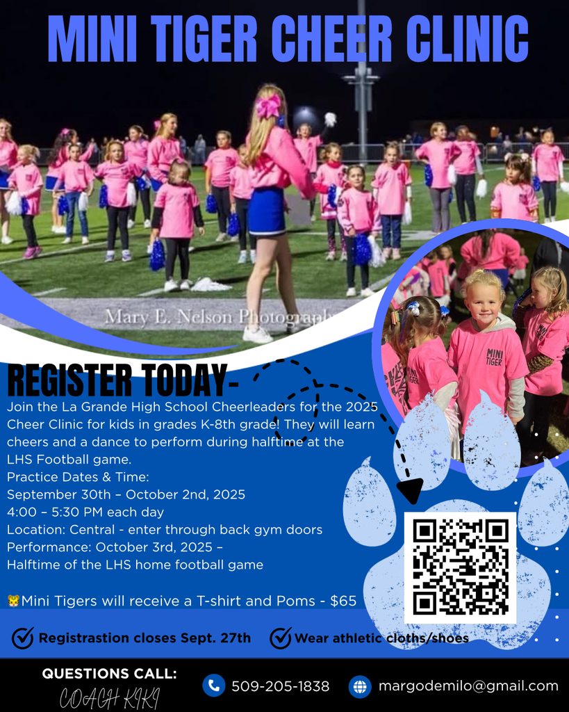 Mini Tiger Cheer Clinic Flyer
