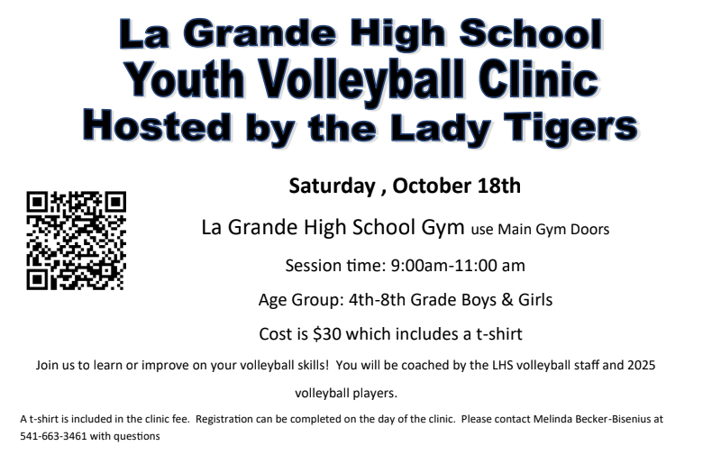 Volleyball Clinic Flyer