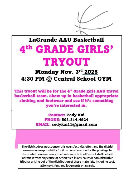flyer for 4th grade aau tryouts with the outline of a basketball.