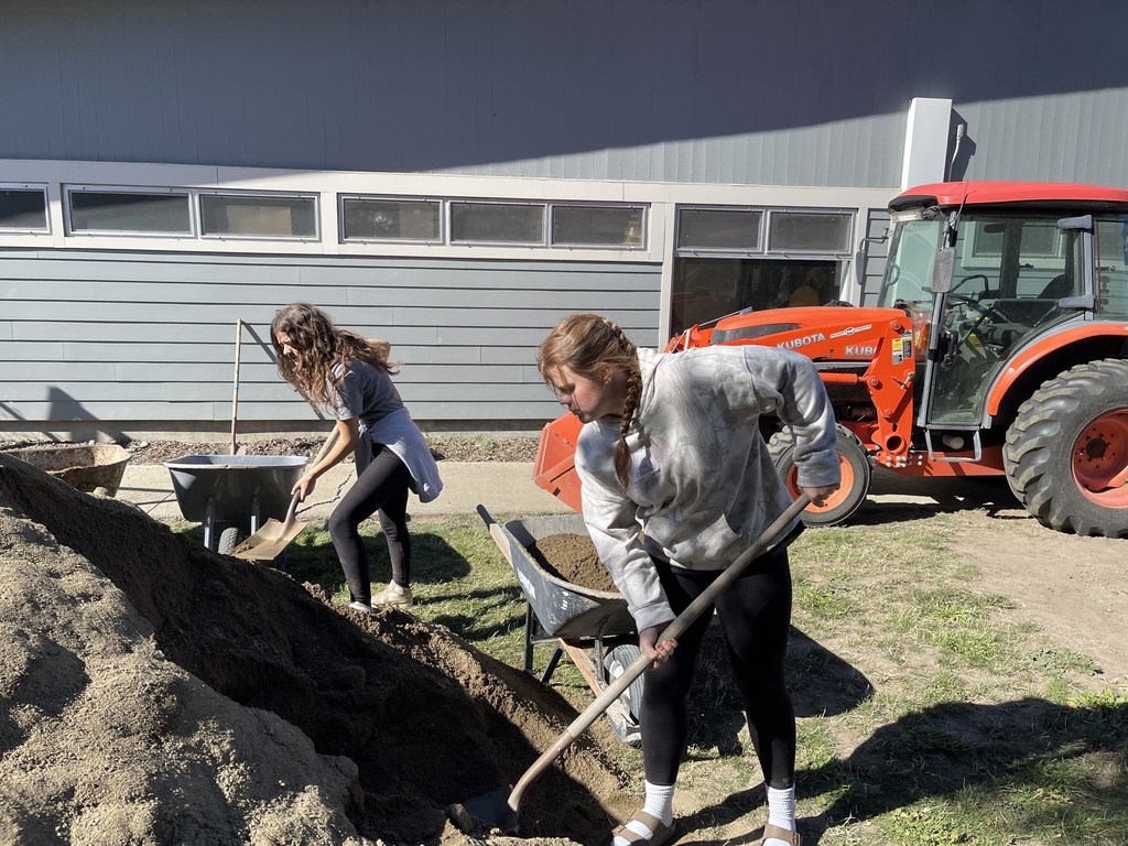 lhs seniors working at ICE