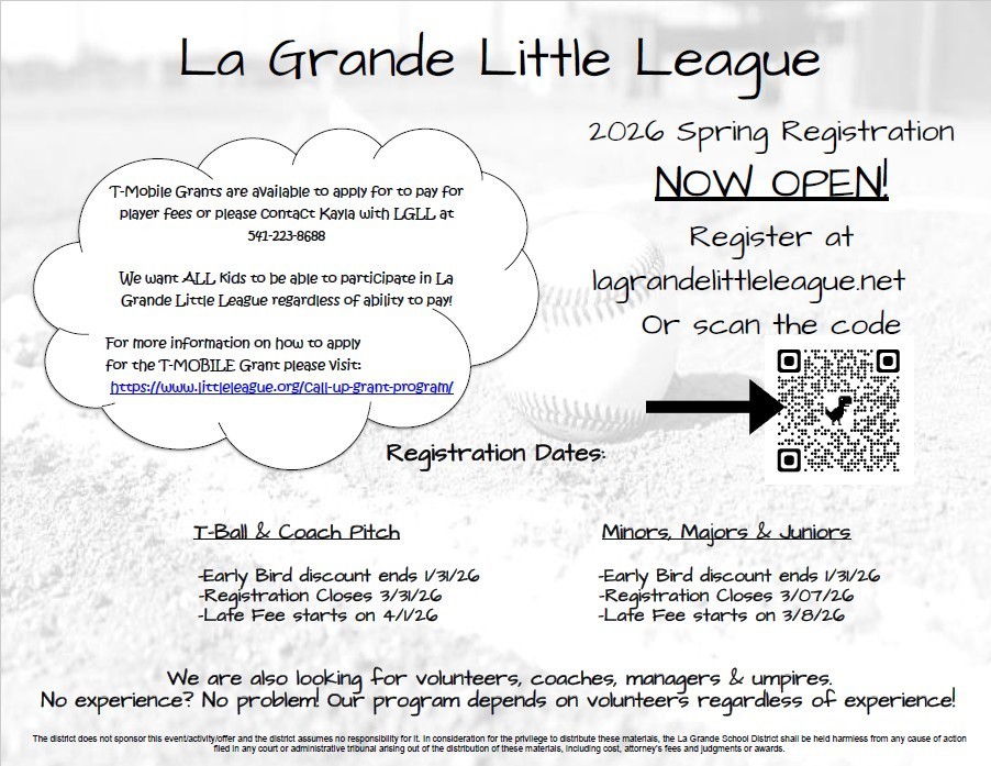 Text about la grande little league. Image of baseball field and baseball in the background