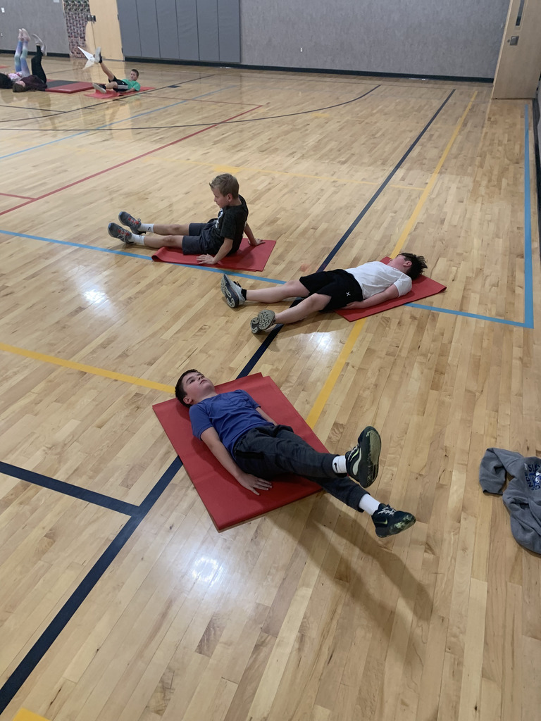 cougar fitness floor exercise