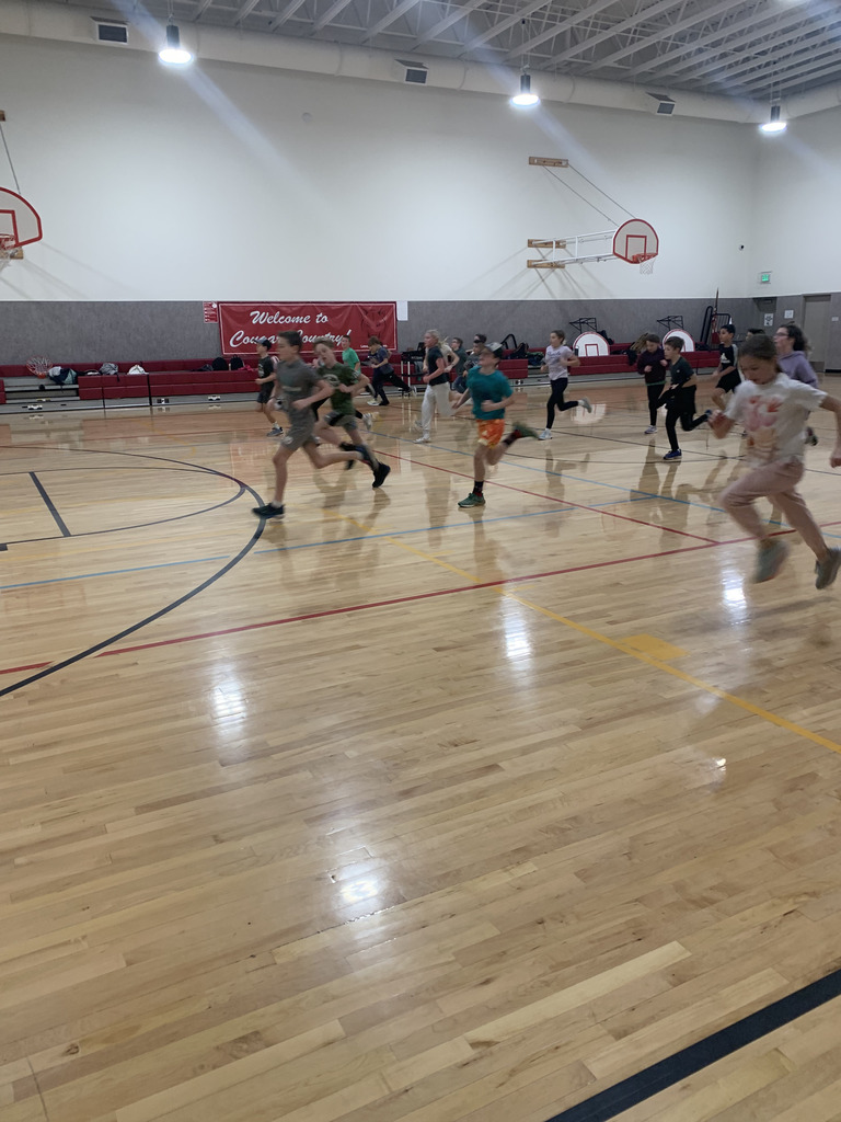 cougar fitness running