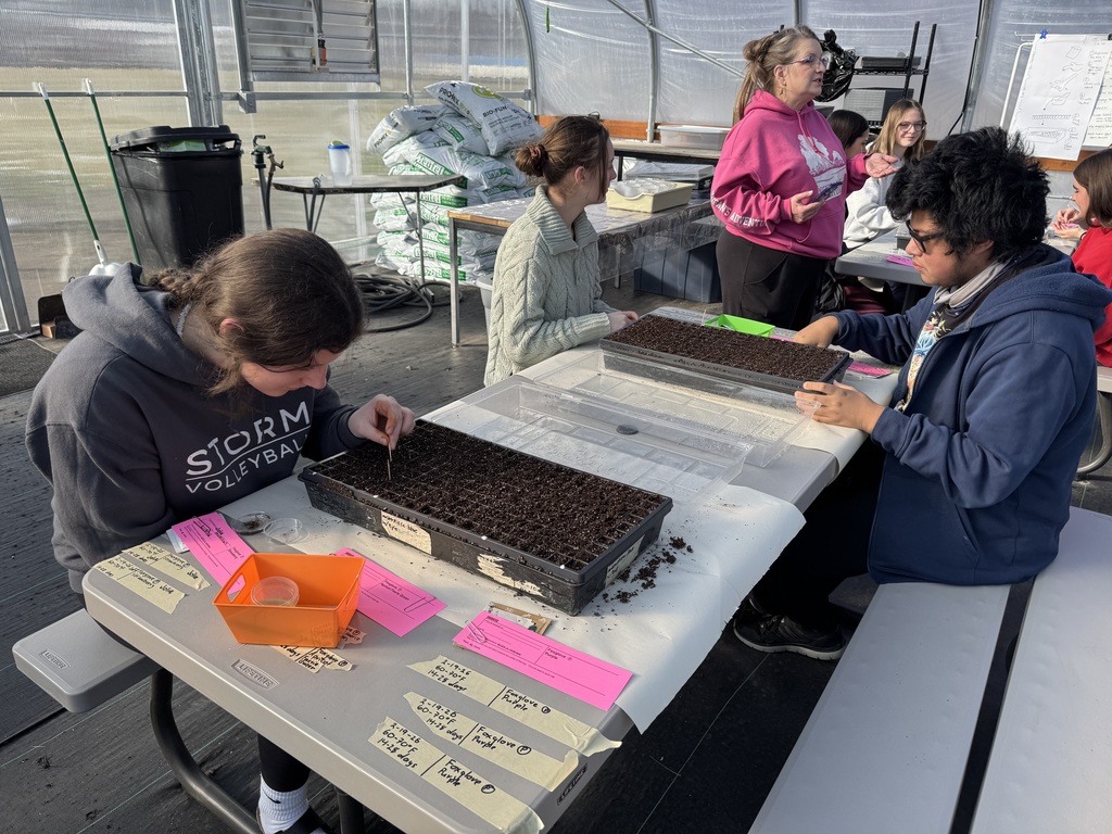 Greenhouse planting