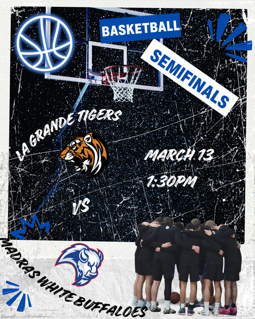 boys basketball semifinals