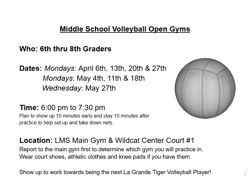 Middle School Volleyball Open Gyms Flyer