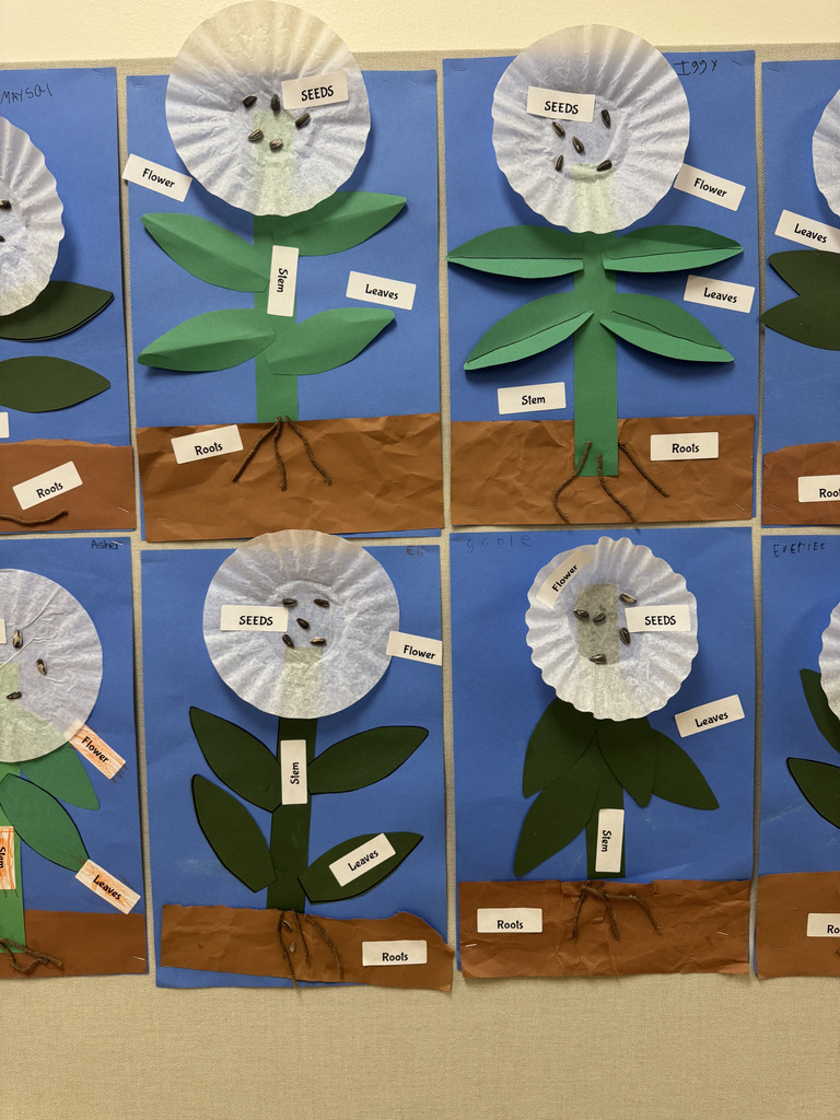 Central Student Art