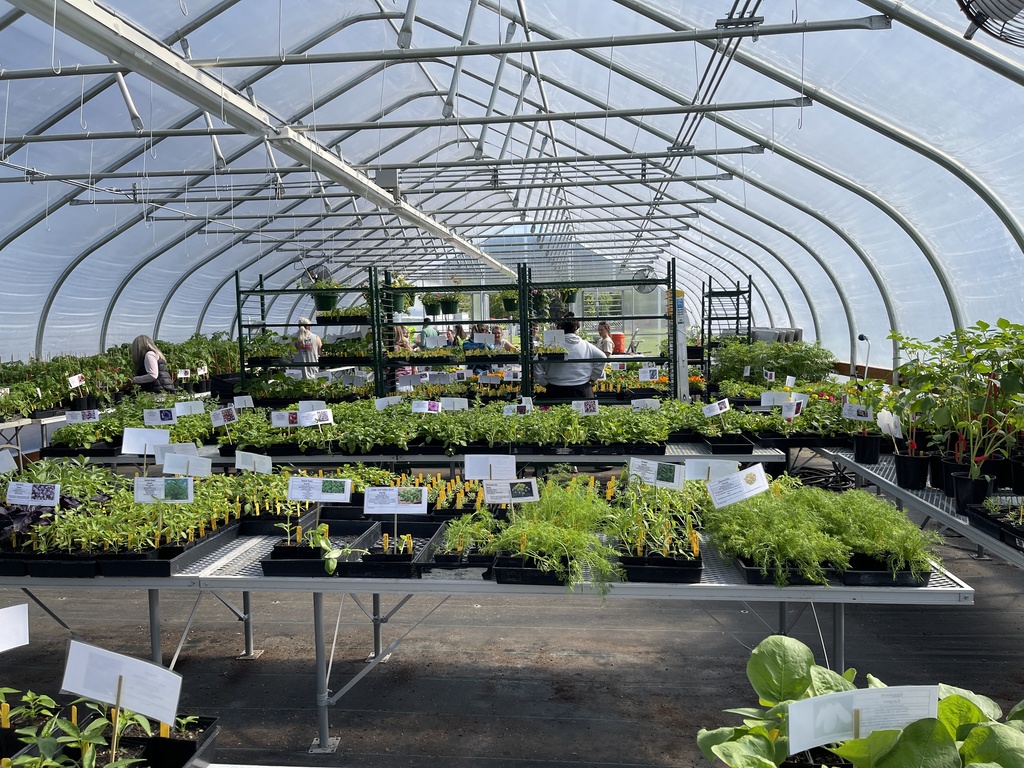 photo inside the LMS greenhouse showing plants available forsale