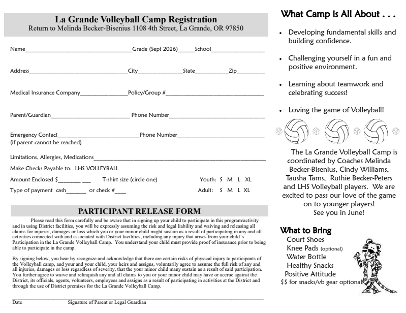 Volleyball Clinic Flyer