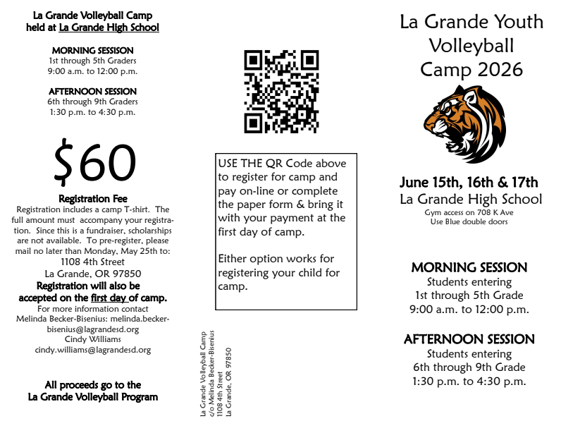 Volleyball Clinic Flyer