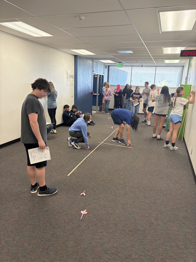 STEM Project