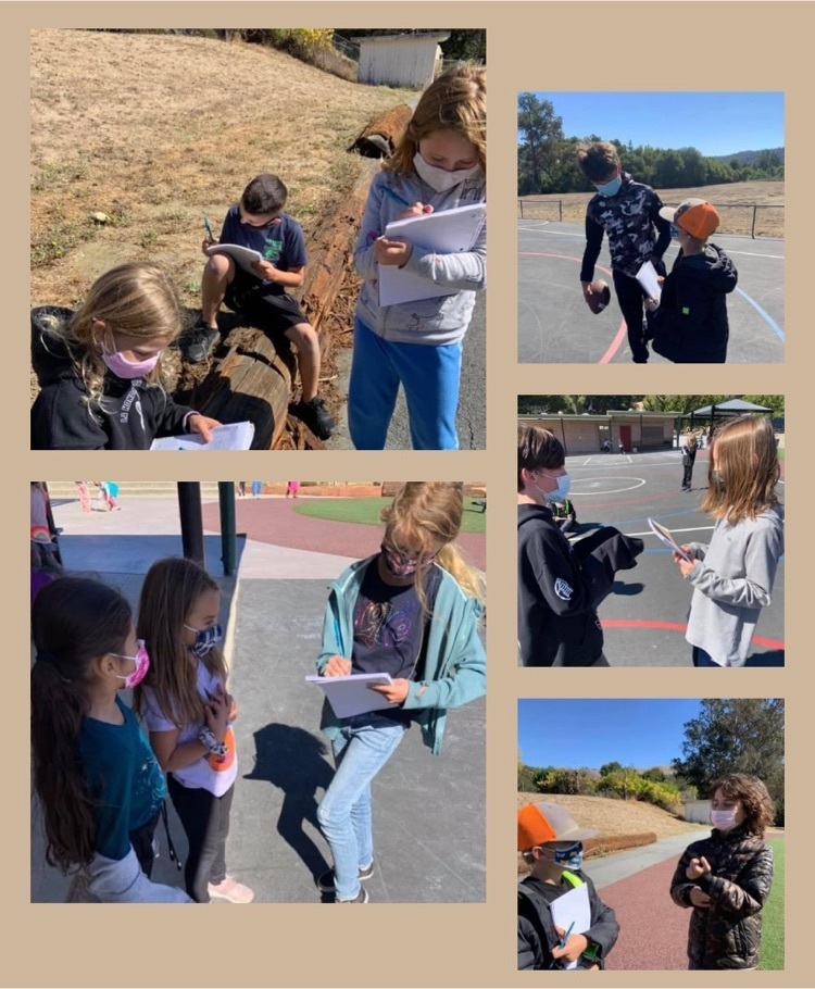 Collage of students interviewing other students