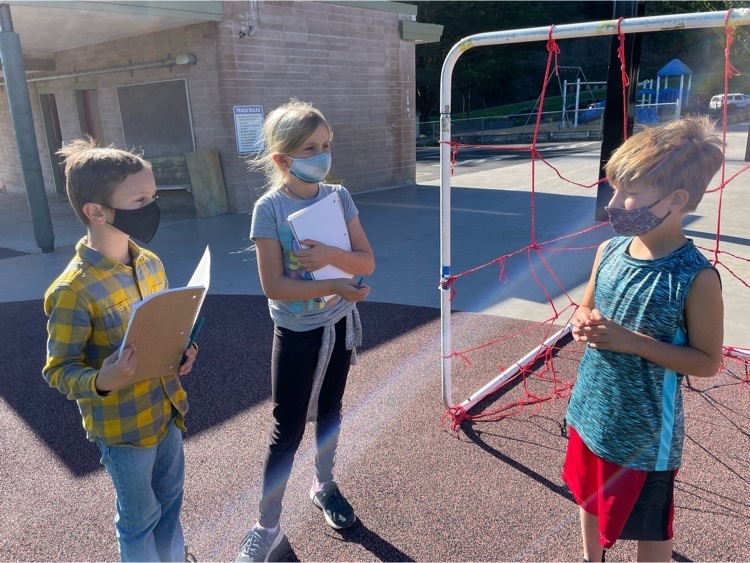 students gathering input from others