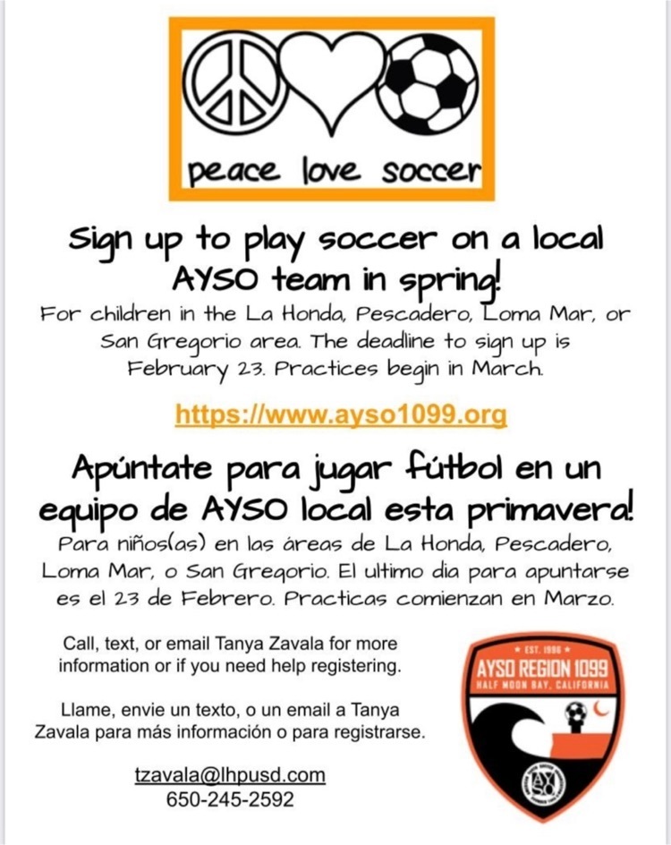 AYSO flyer