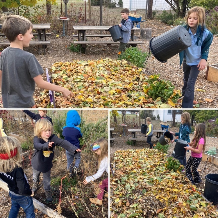 maintaining the garden 
