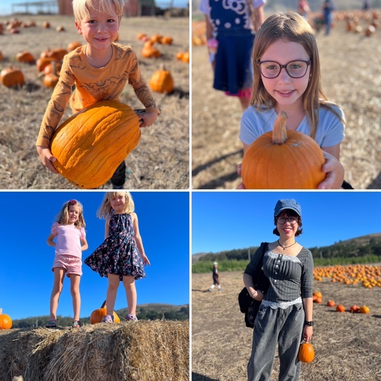 pumpkin patch fun