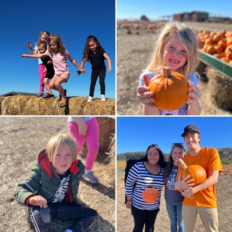 pumpkin patch fun