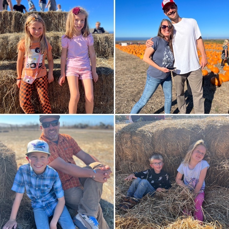 pumpkin patch fun